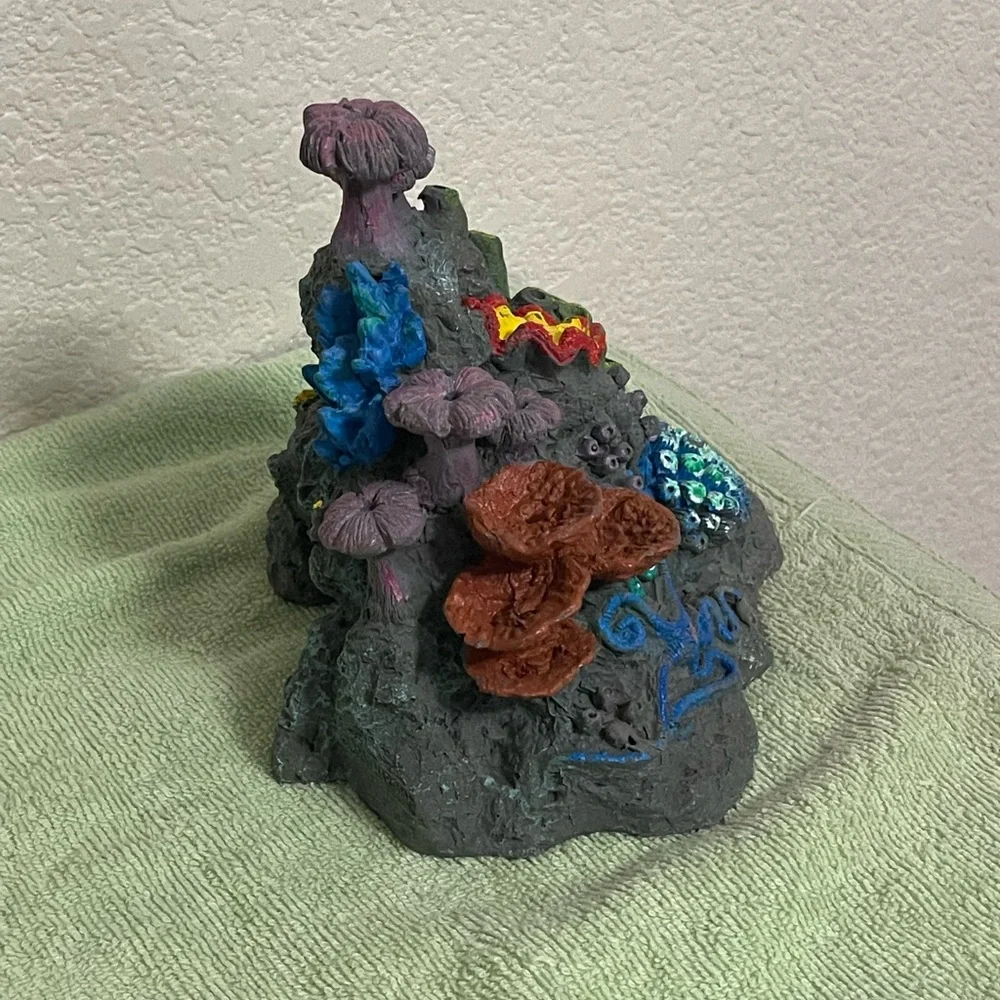 N/A beautiful coral